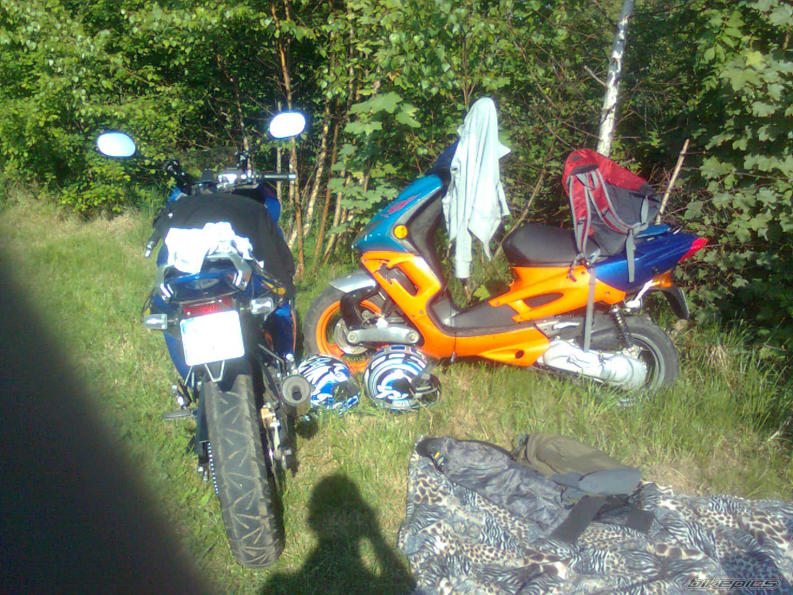 Photo 2217141
