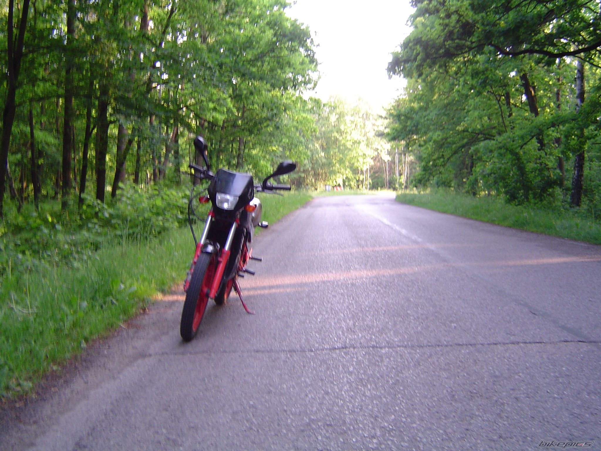 Photo 2217229