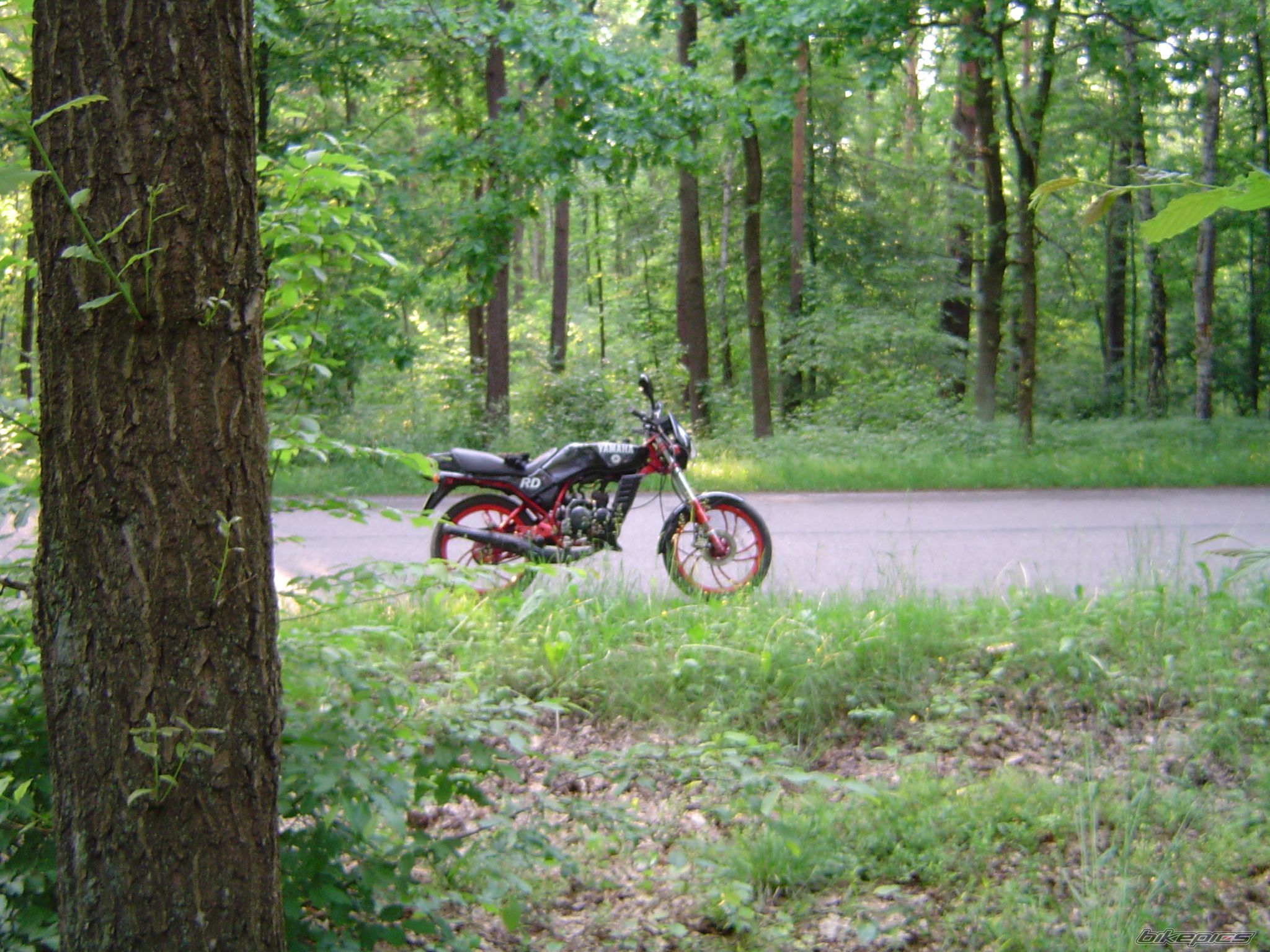 Photo 2217231