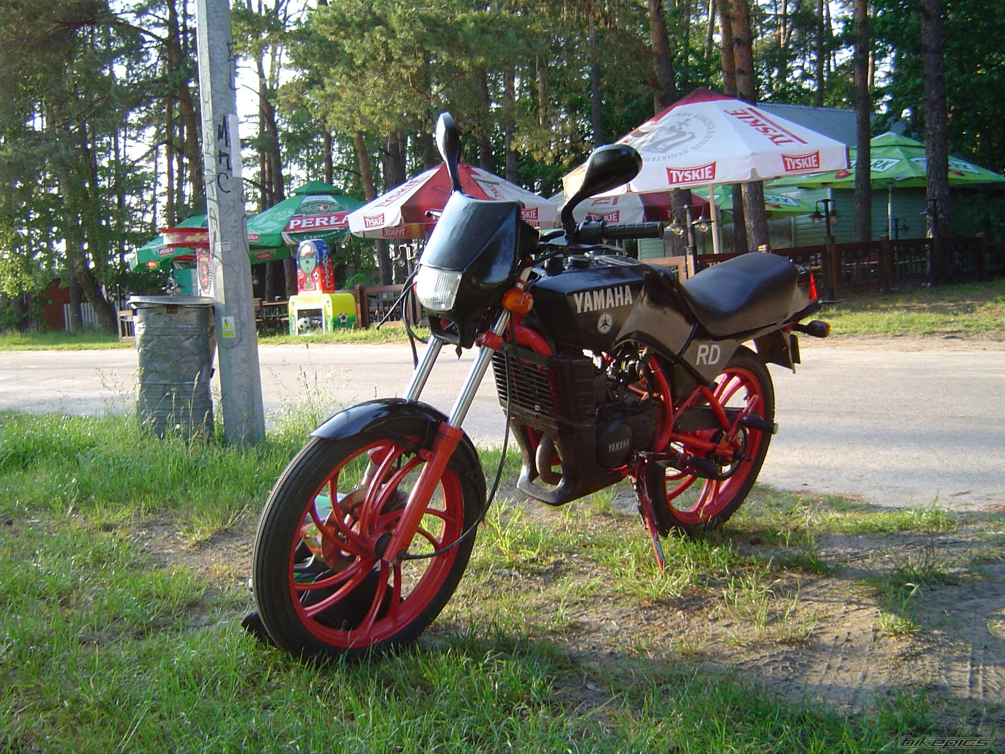Bike Photo 2217233
