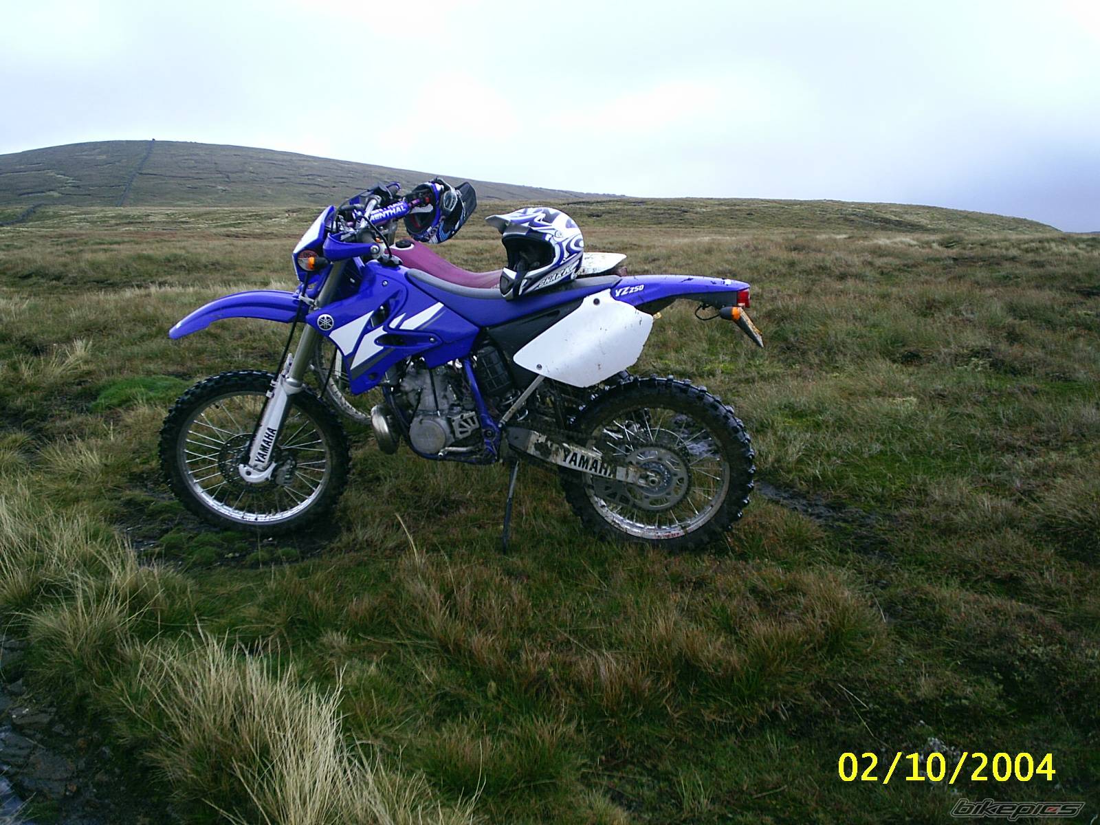 Photo 221724