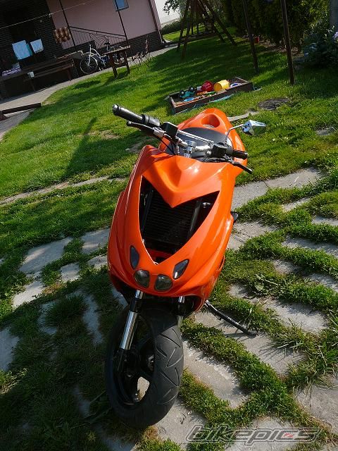 Photo 2217326