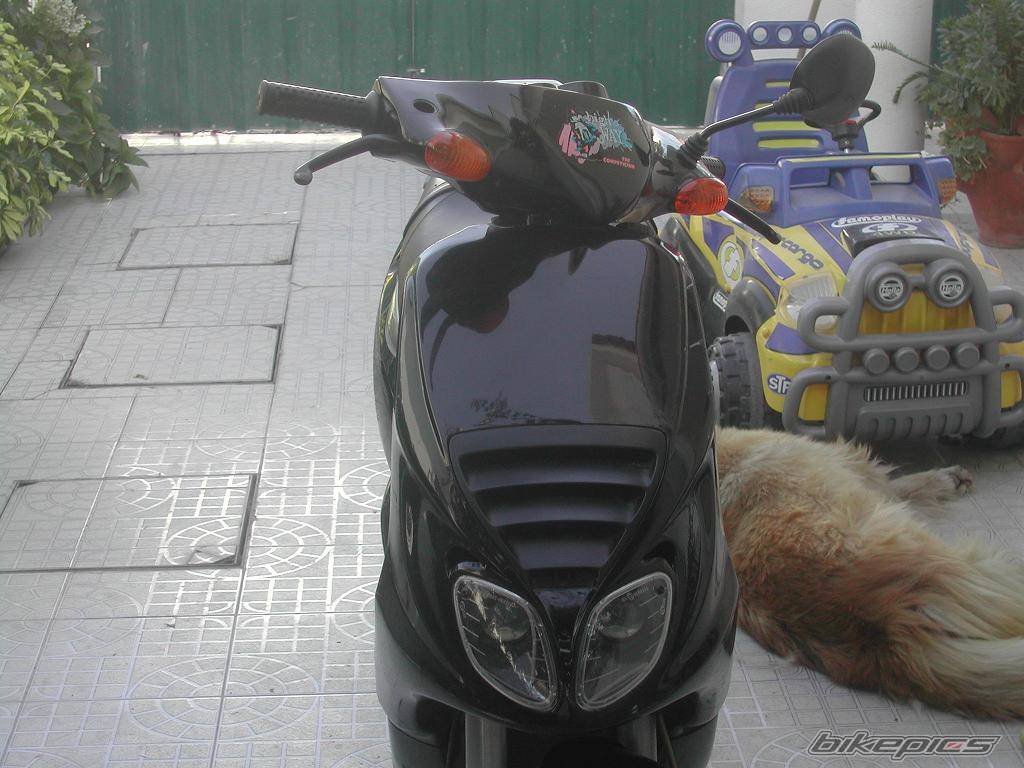 Photo 221736