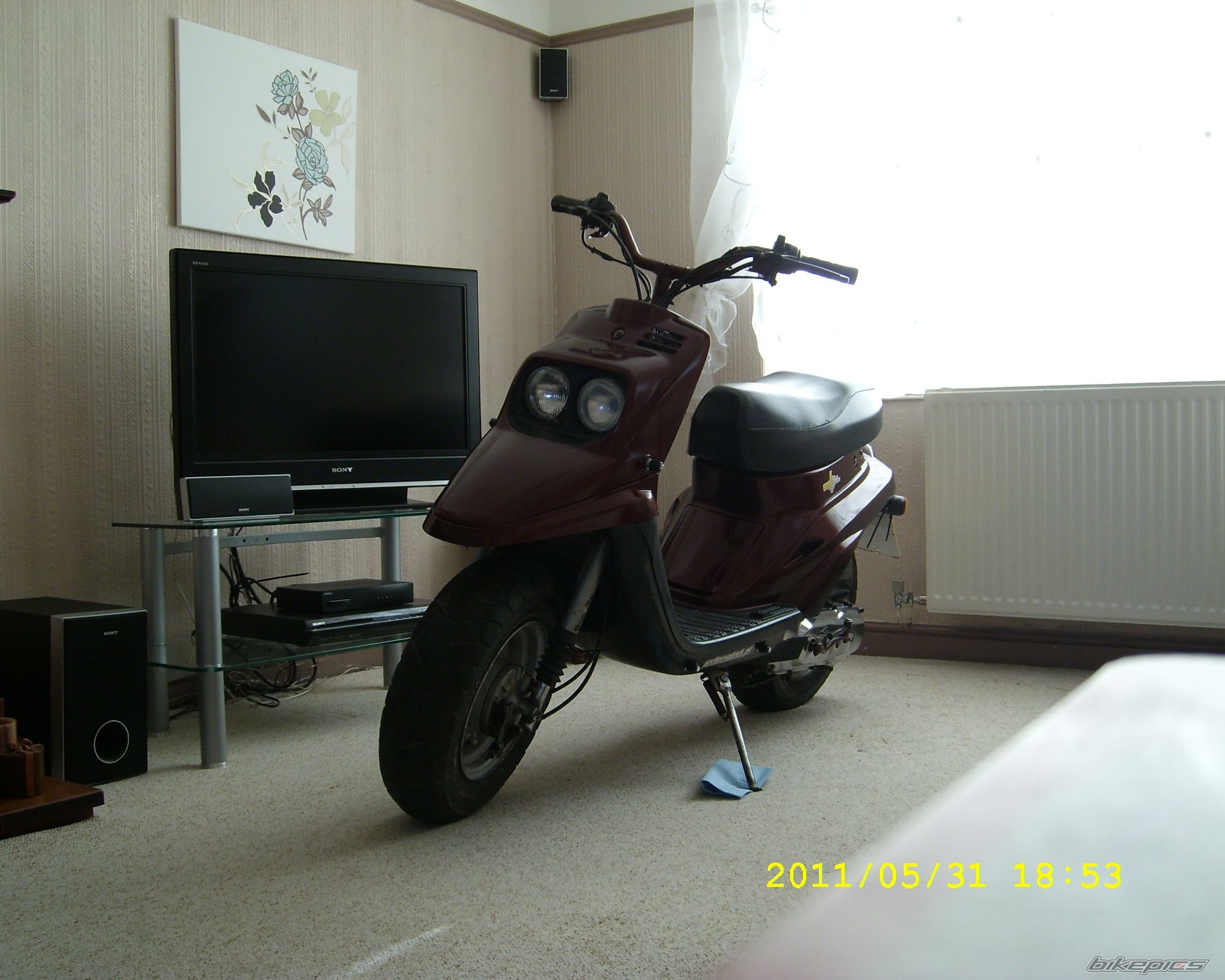 Photo 2217369