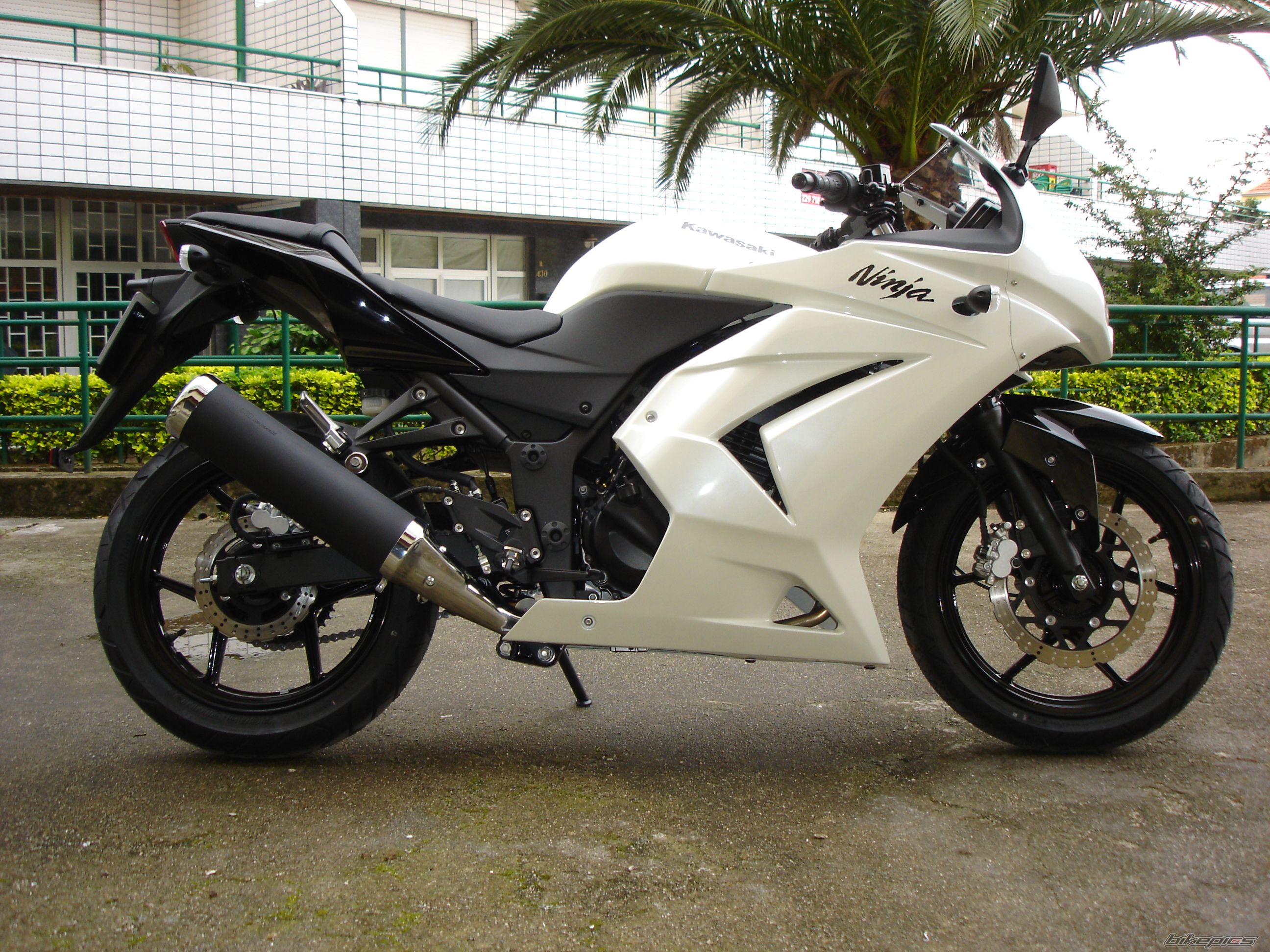 Photo 2217392