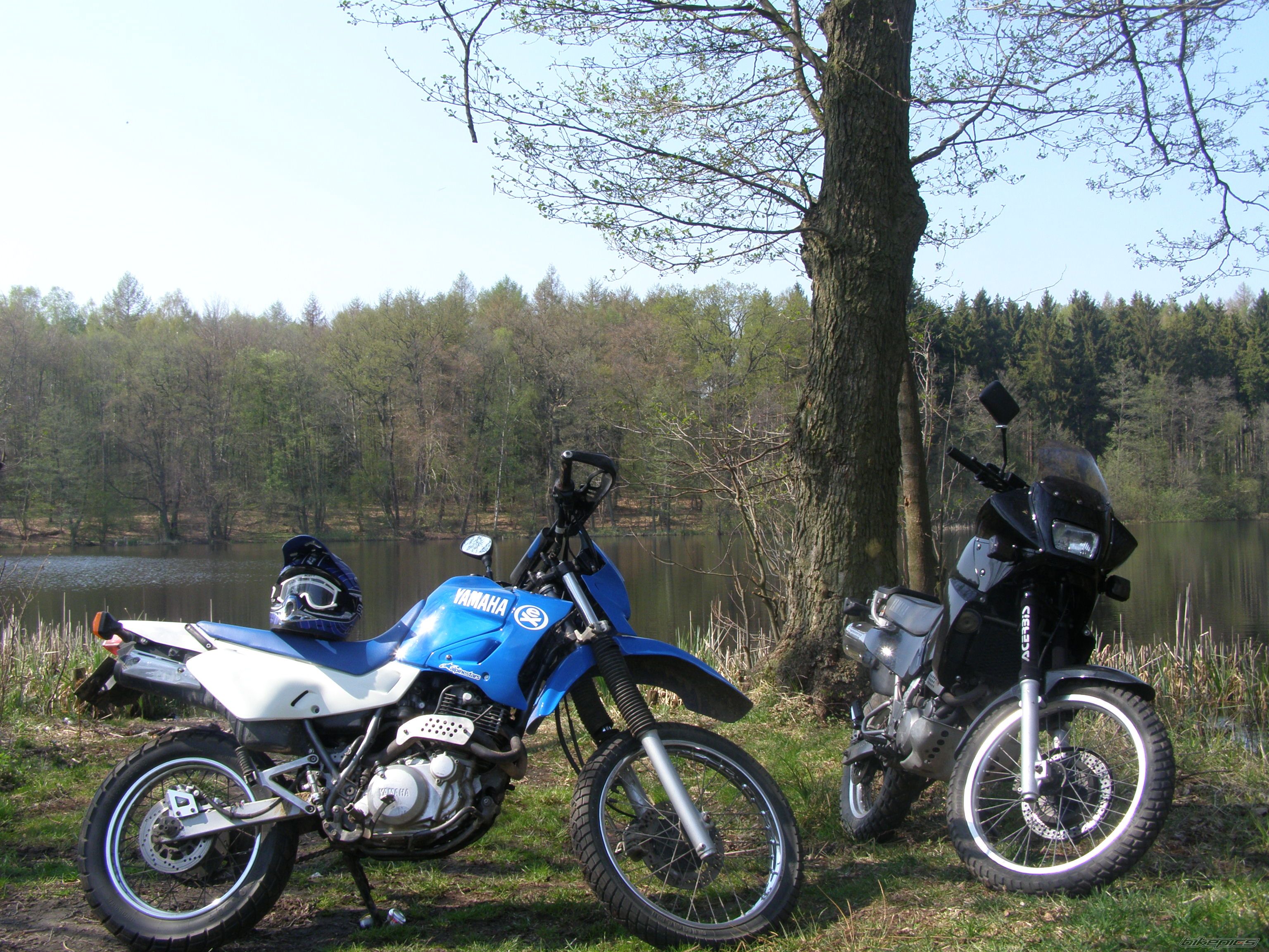 Bike Photo 2217442