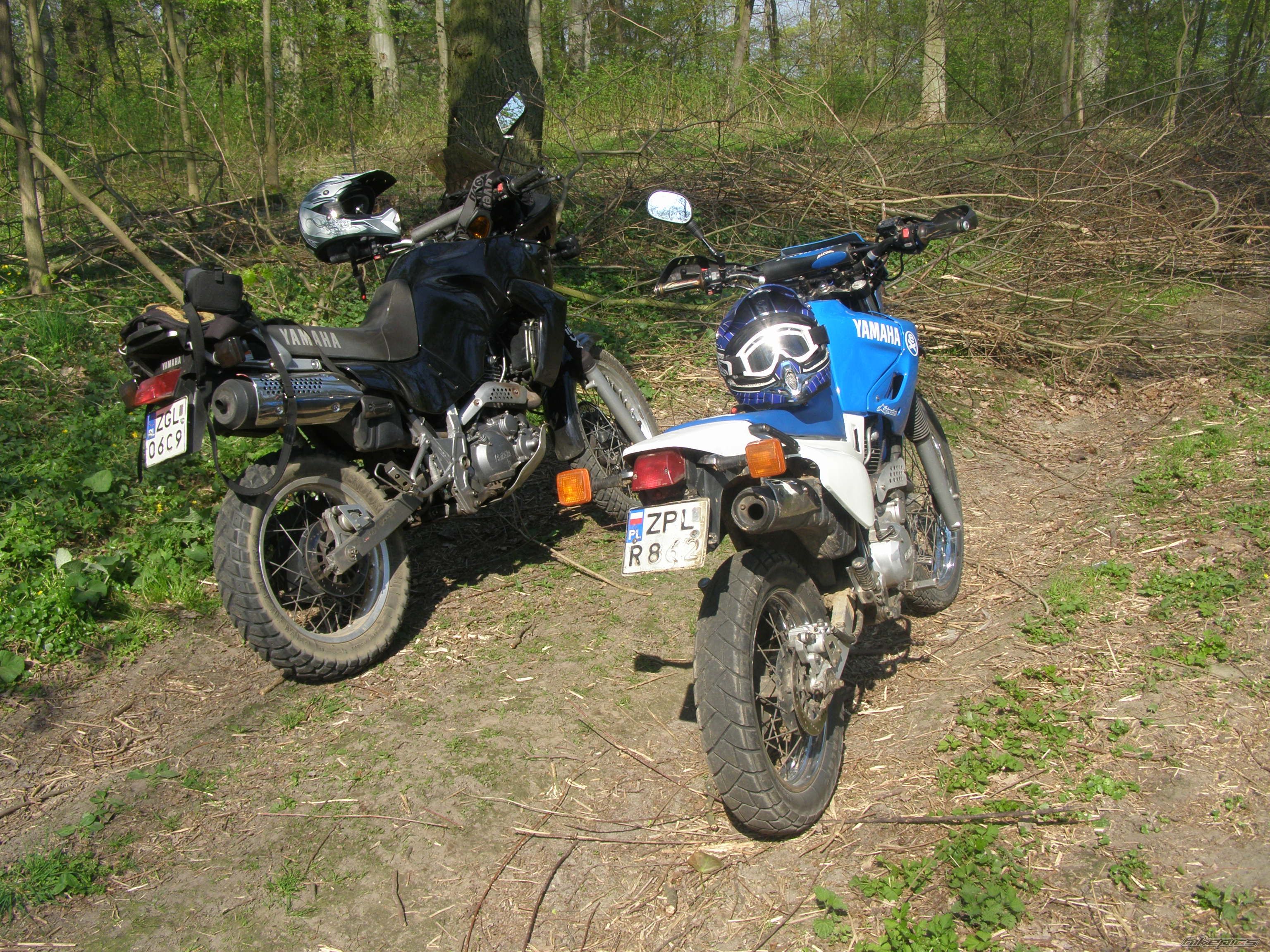 Bike Photo 2217445