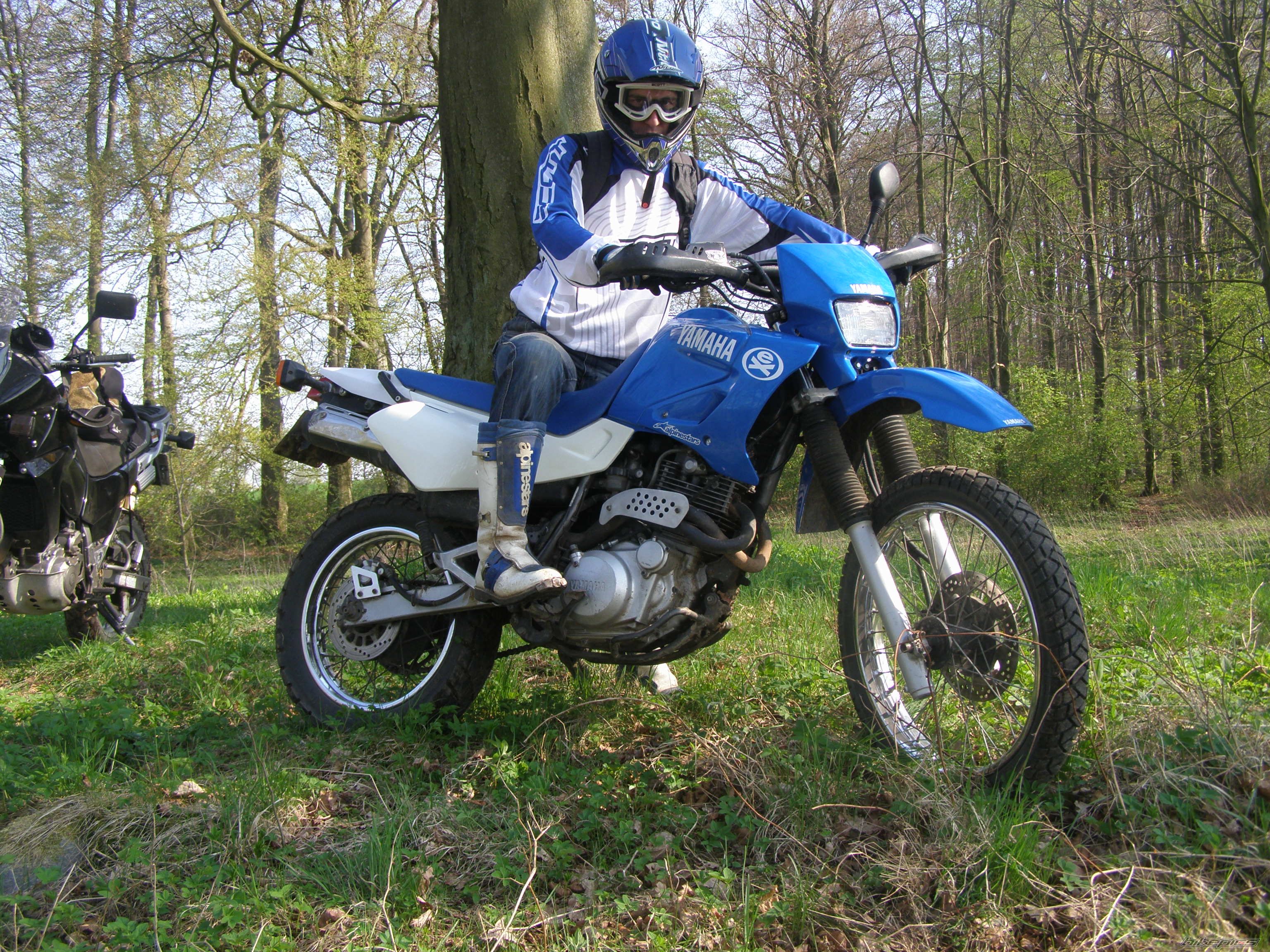 Bike Photo 2217448