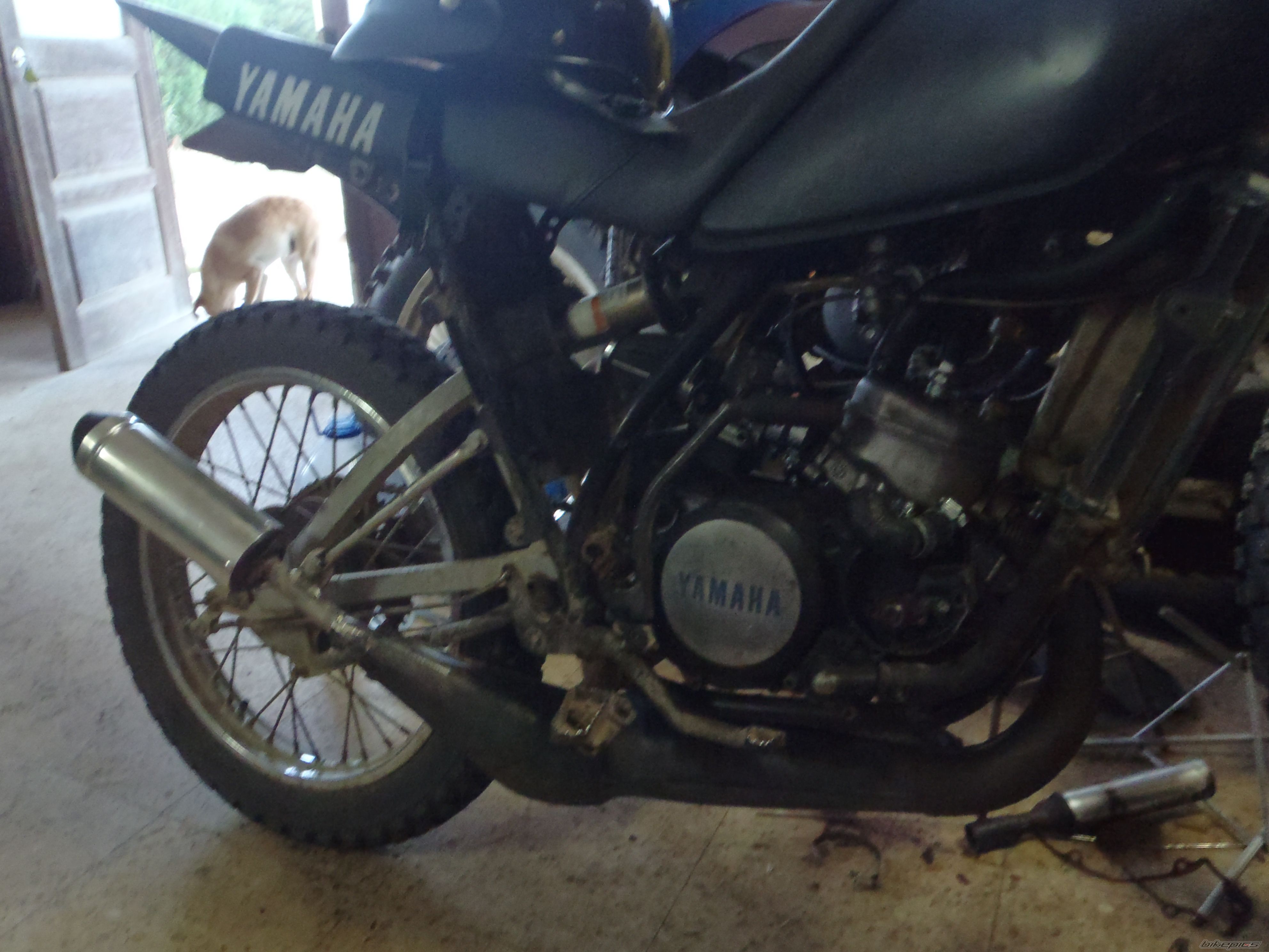 Bike Photo 2217457