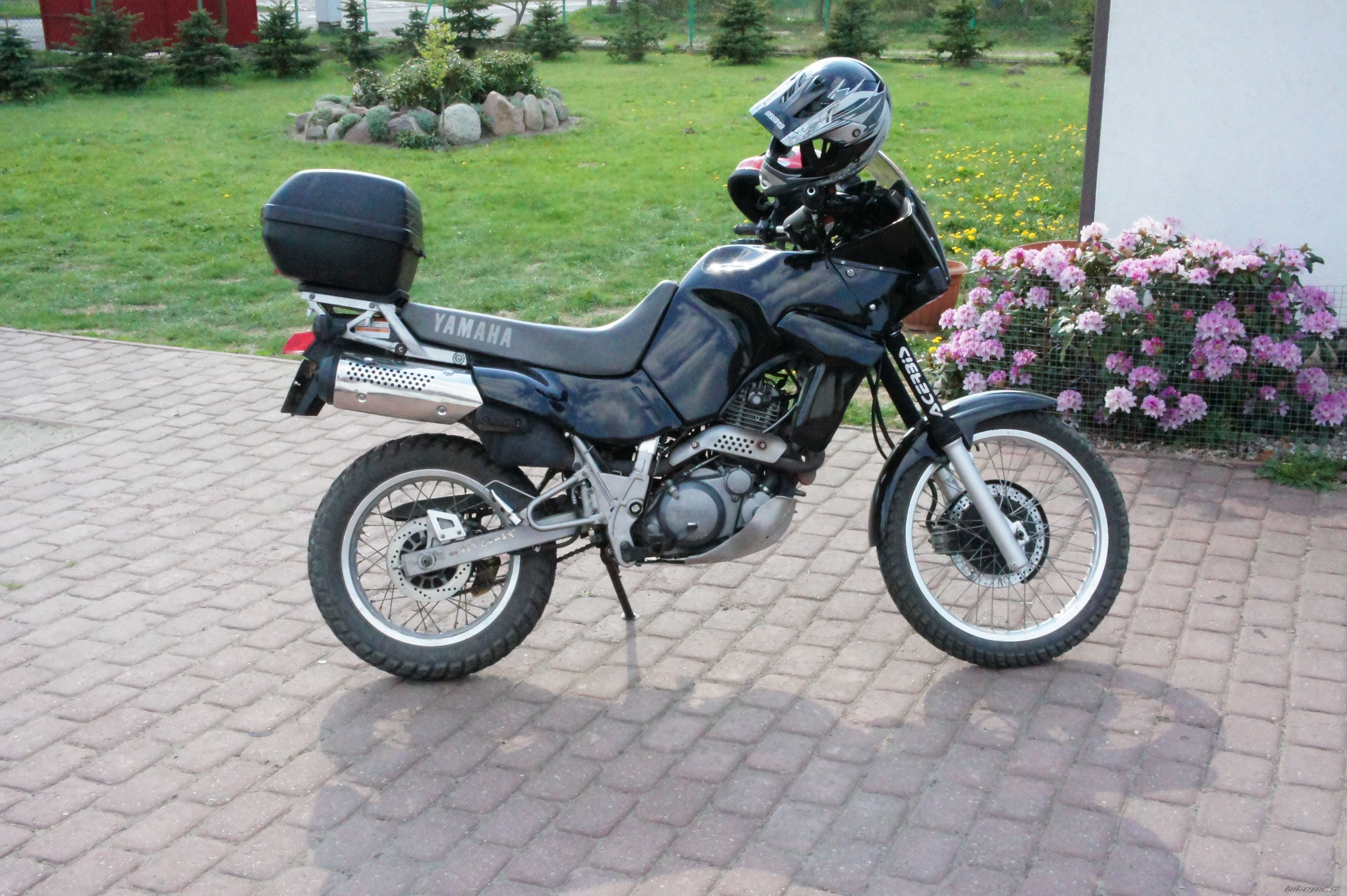Bike Photo 2217459