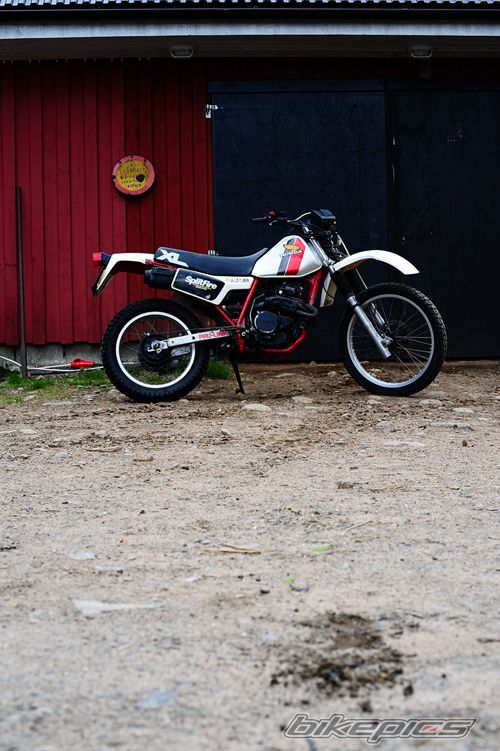 Photo 2217471