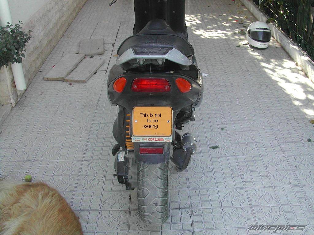 Photo 221752