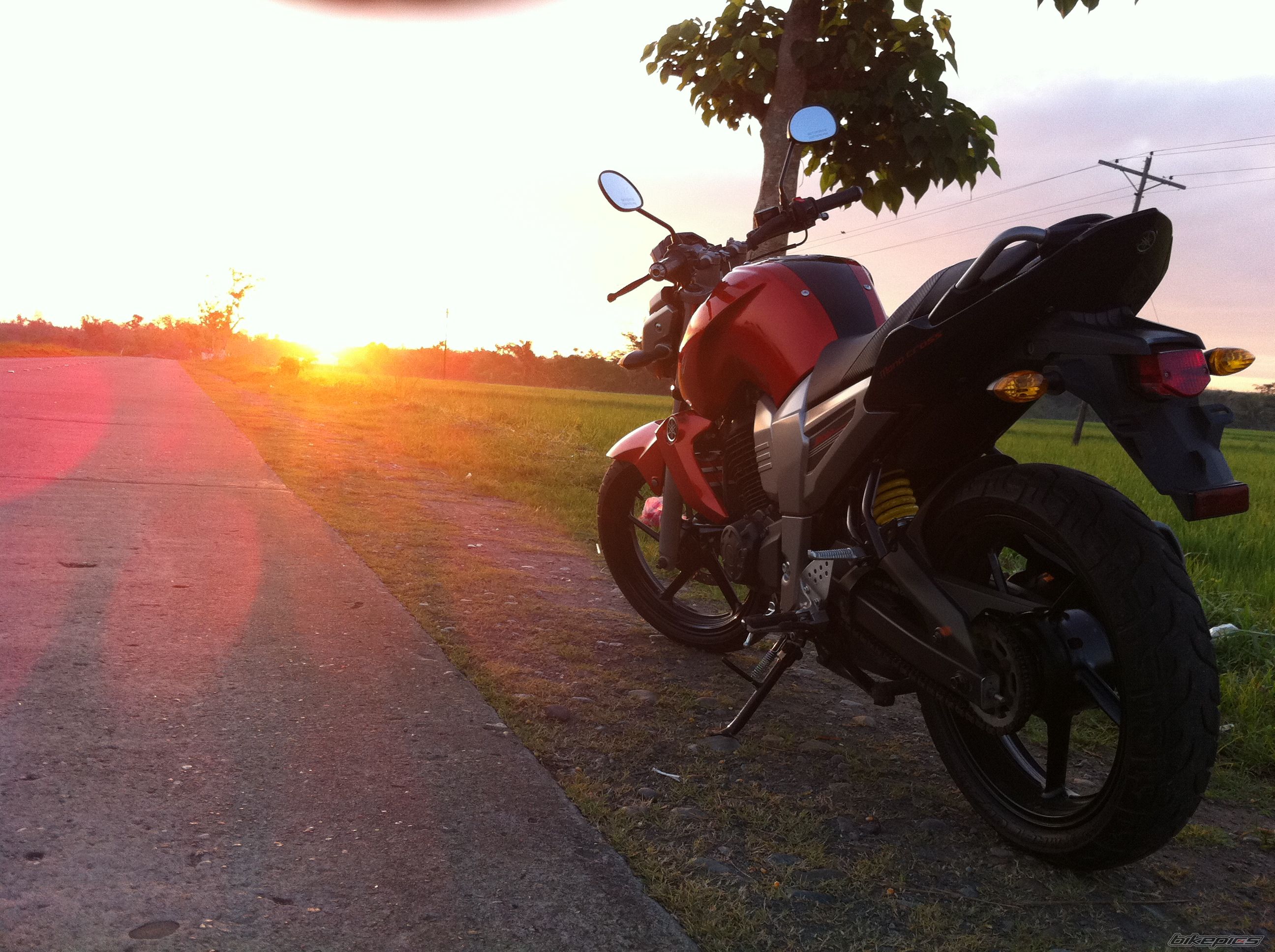 Photo 2217528