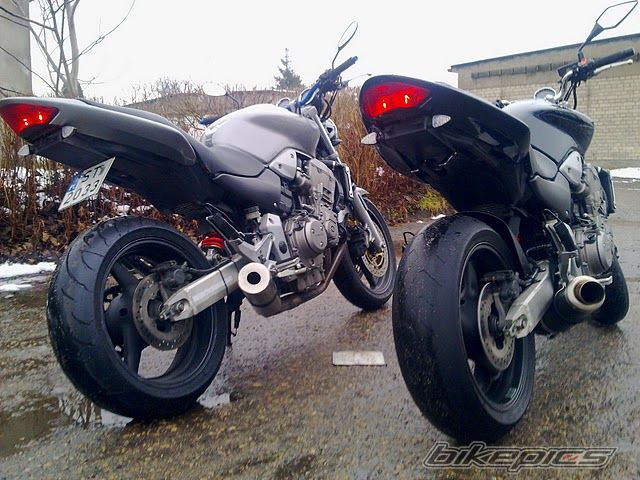 Photo 2217621