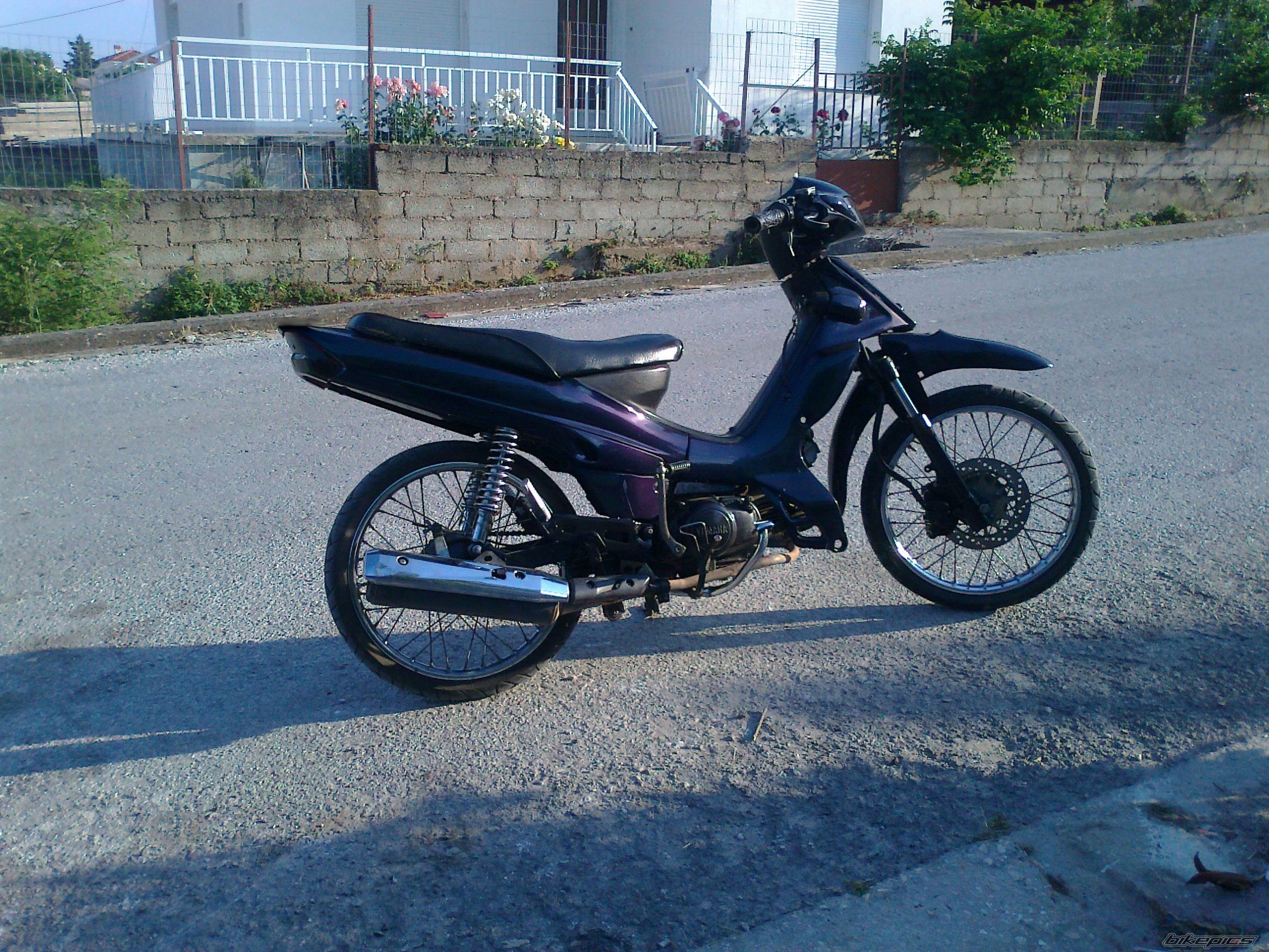 Photo 2217627
