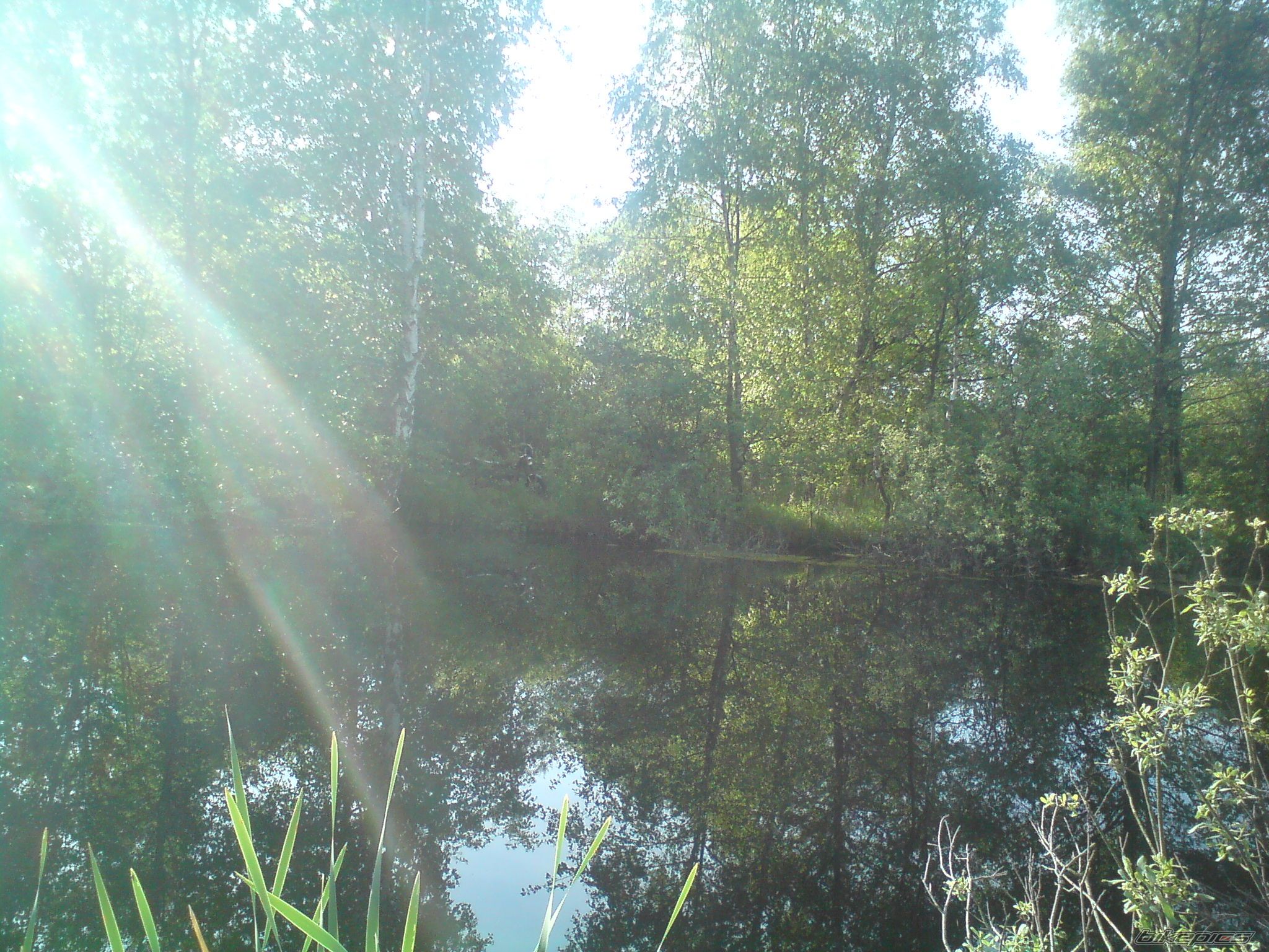 Photo 2217634