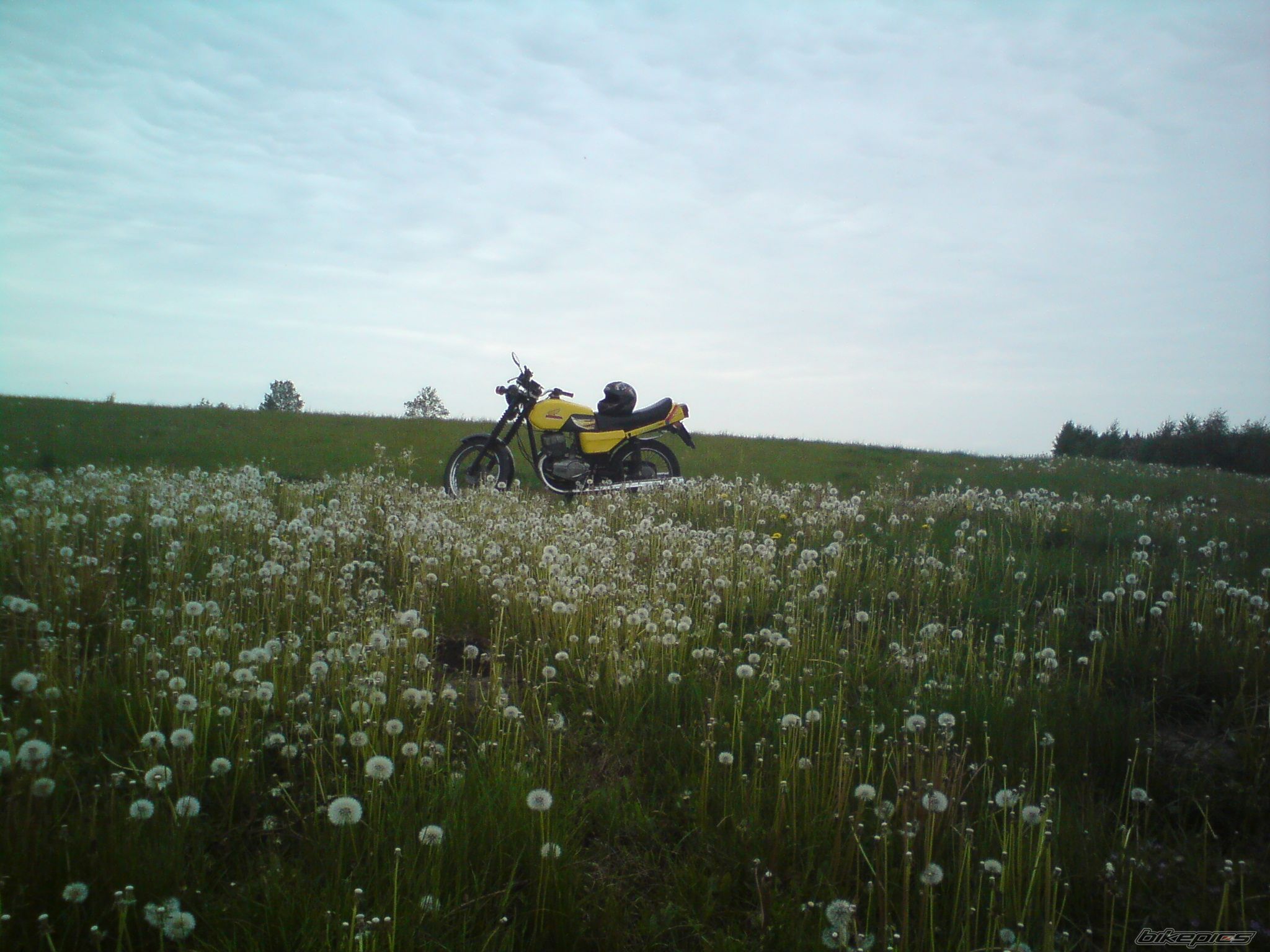 Photo 2217638