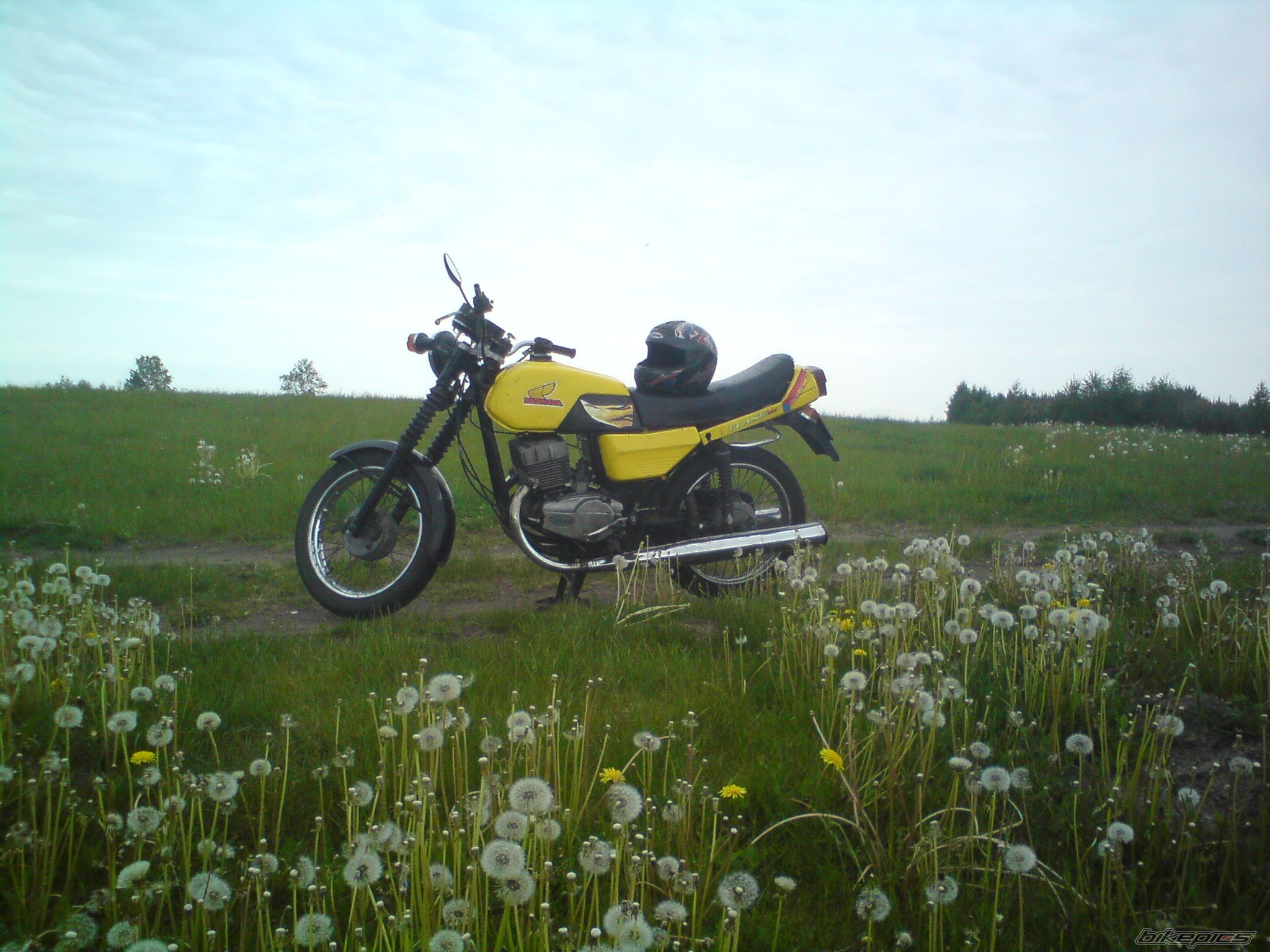 Photo 2217639
