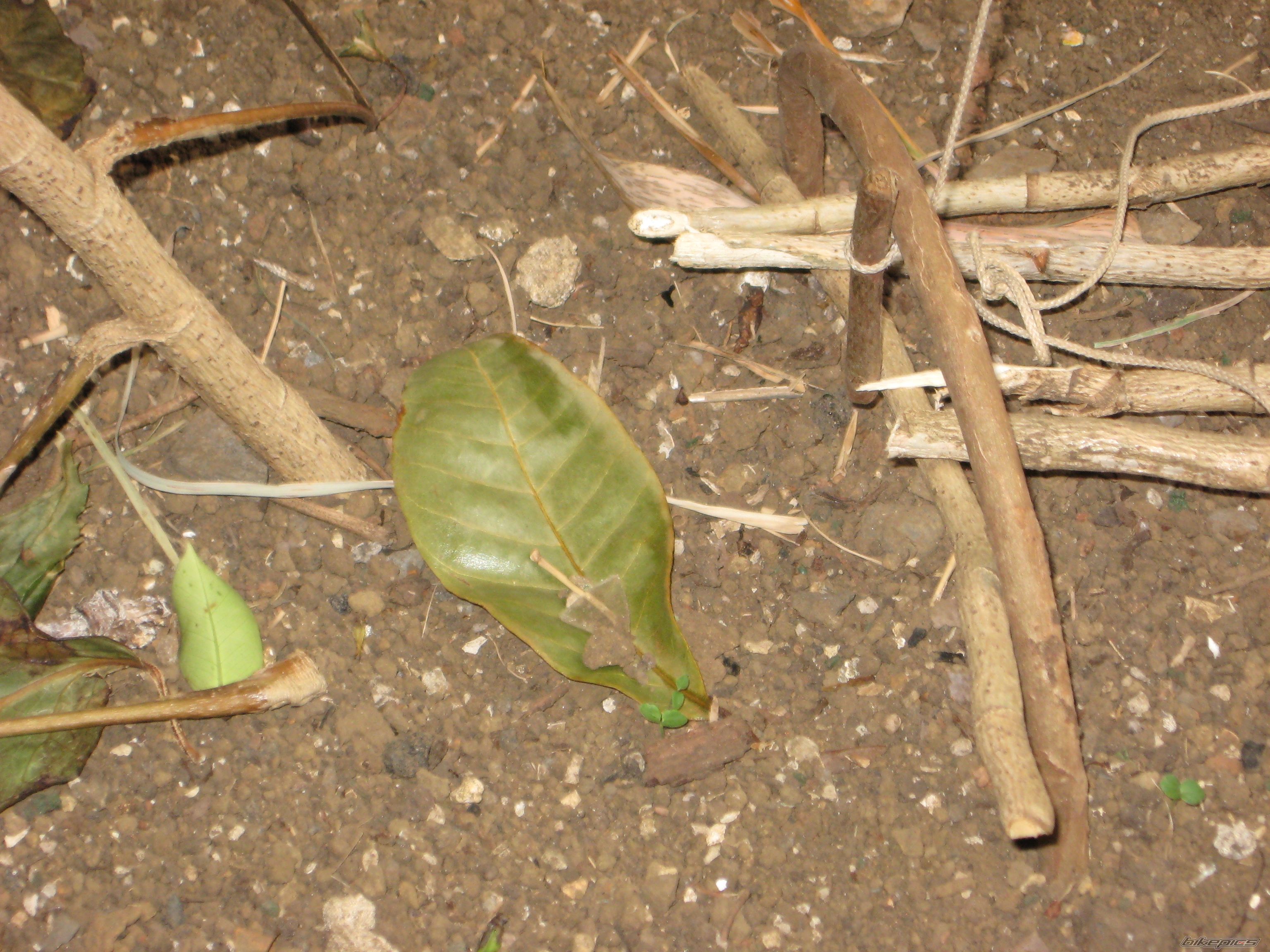 Photo 2217673