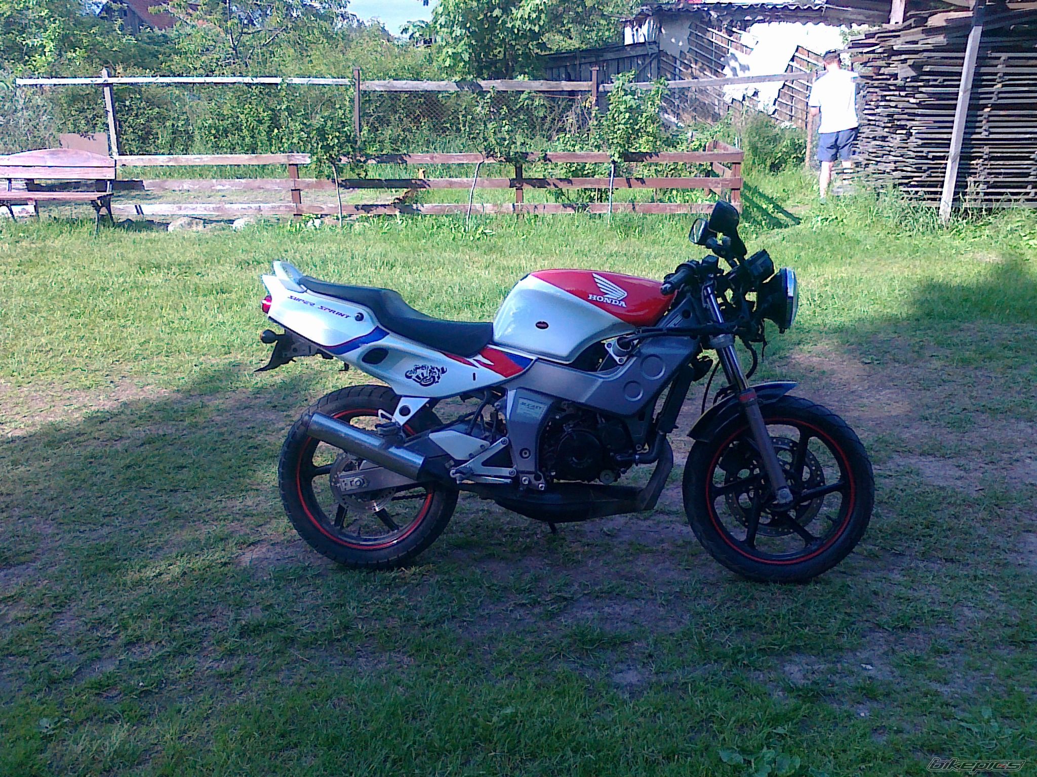 Photo 2217735