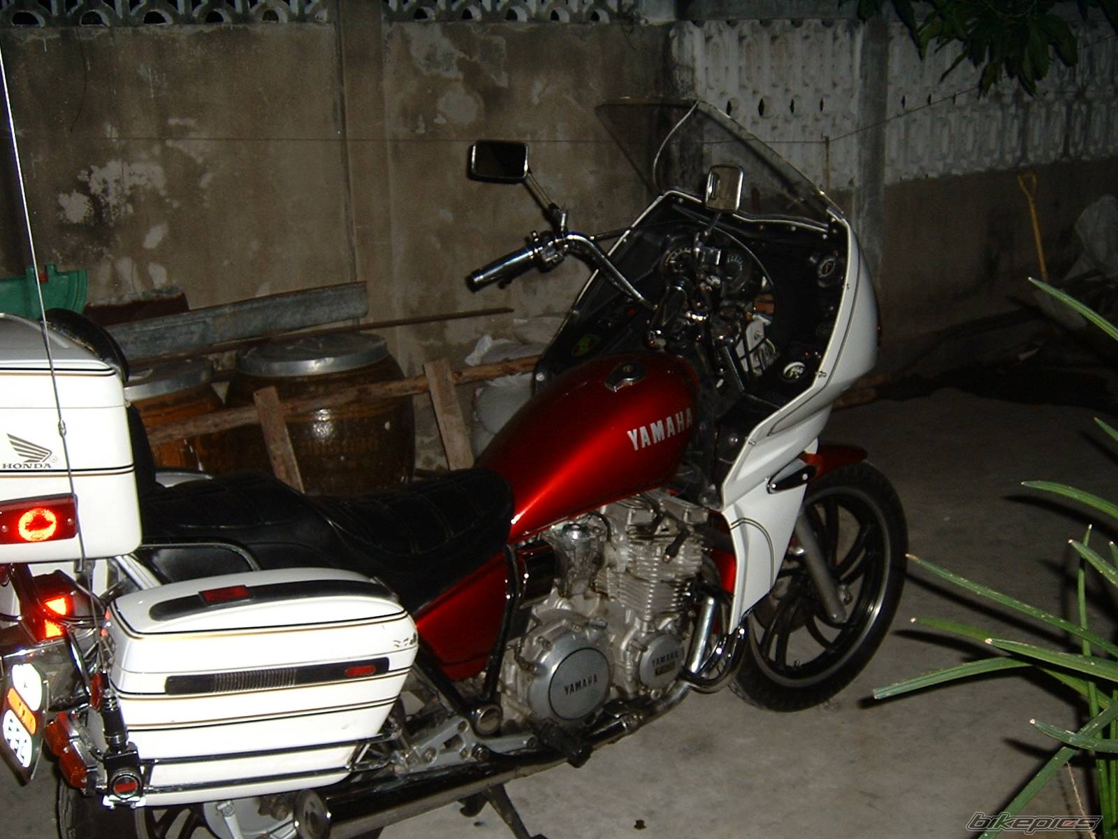 Photo 221782