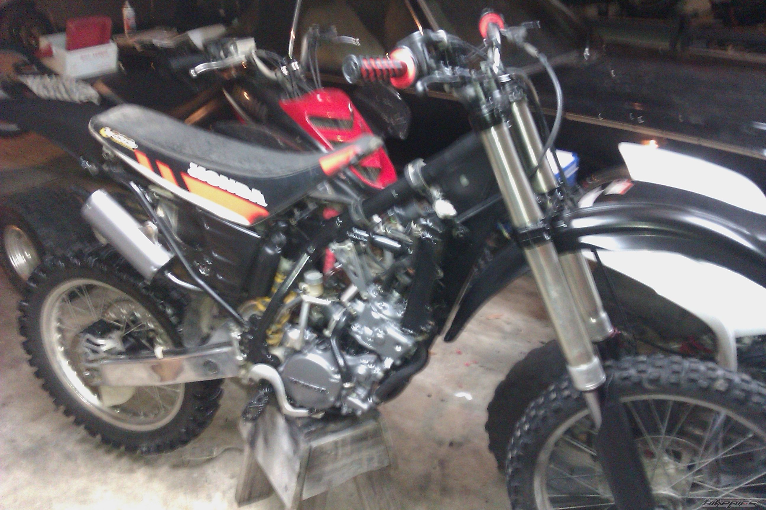 Photo 2217826