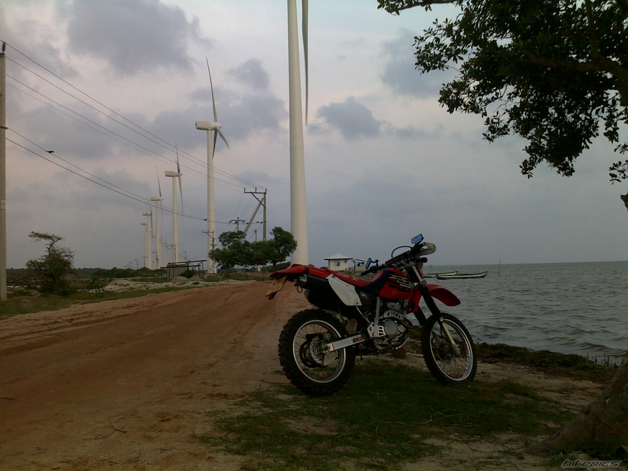 Bike Photo 2217972