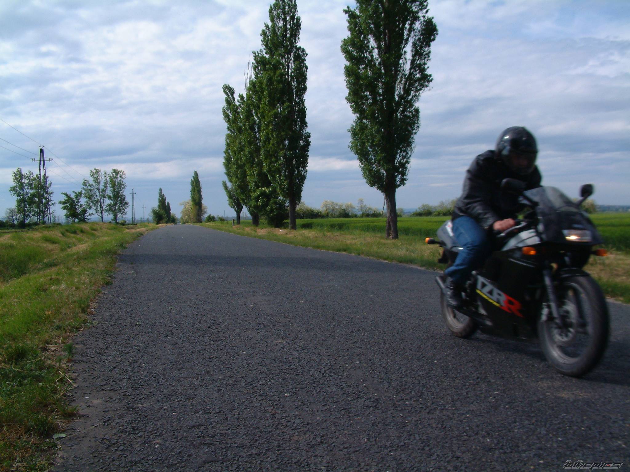 Photo 221803