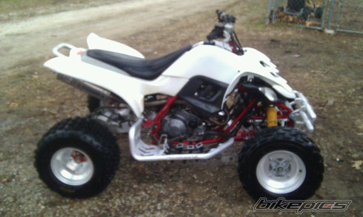Photo 2218173