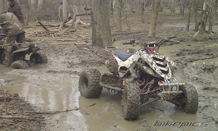 Photo 2218175
