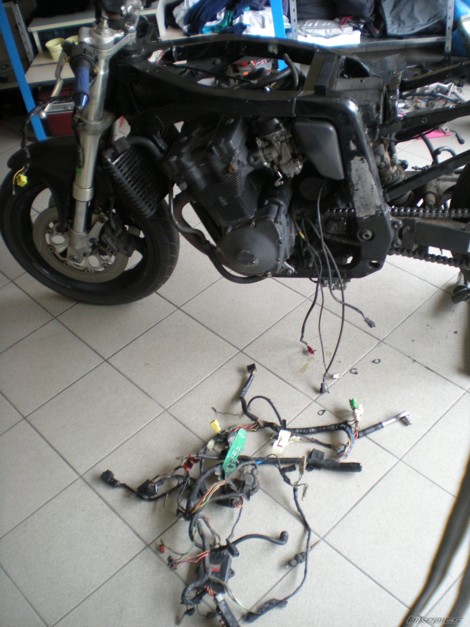 Photo 2218236