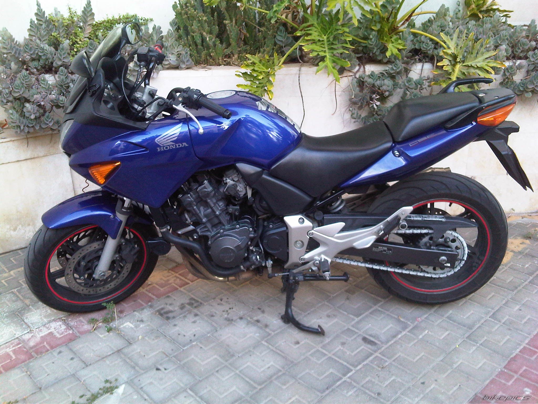 Photo 2218396