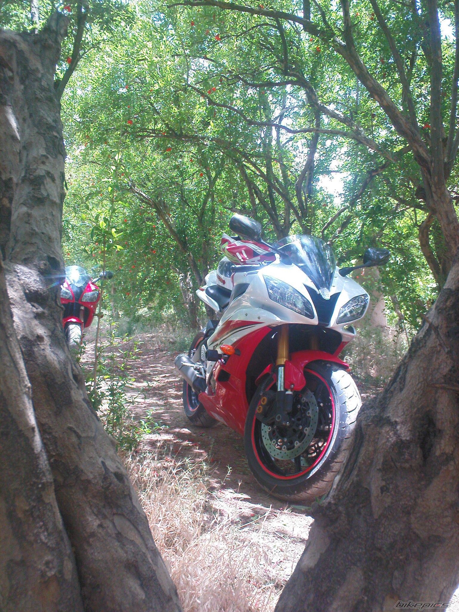 Bike Photo 2218422
