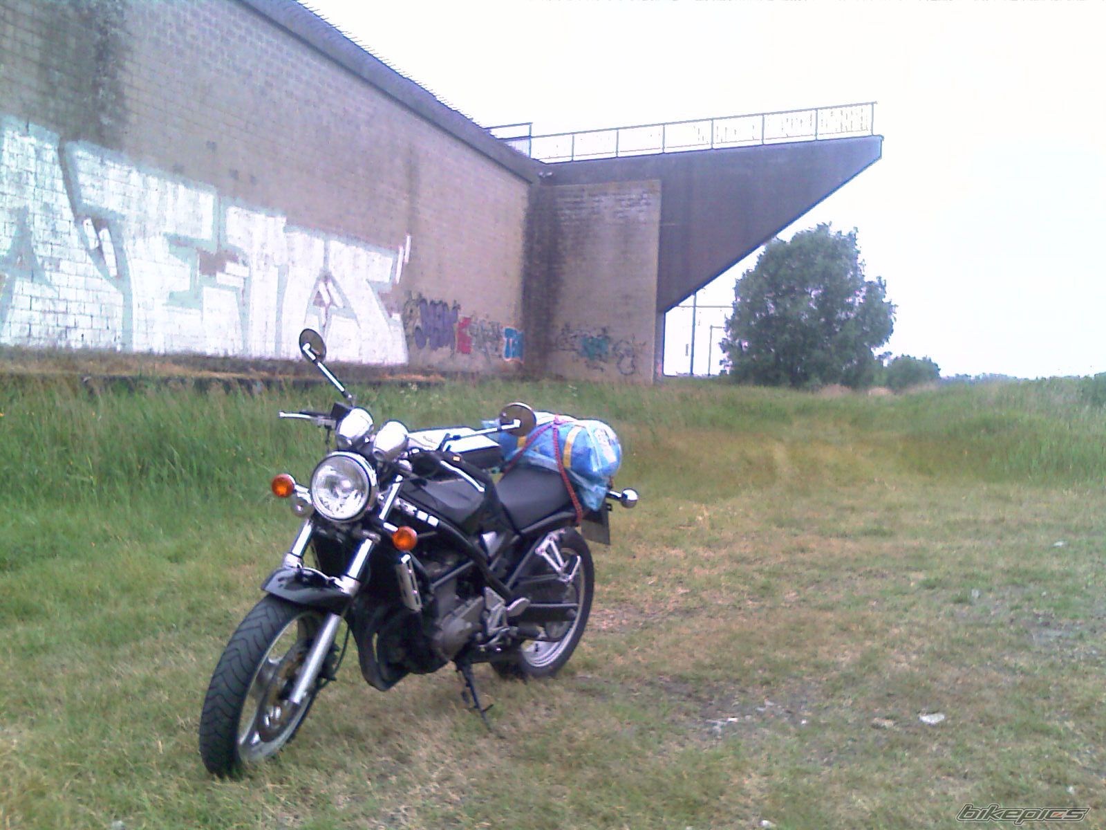 Photo 2218434