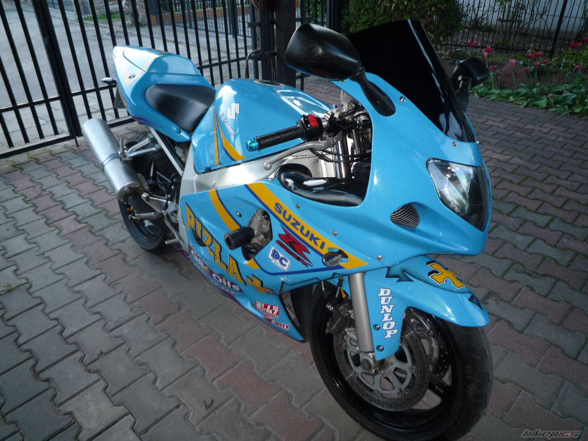 Photo 2218454