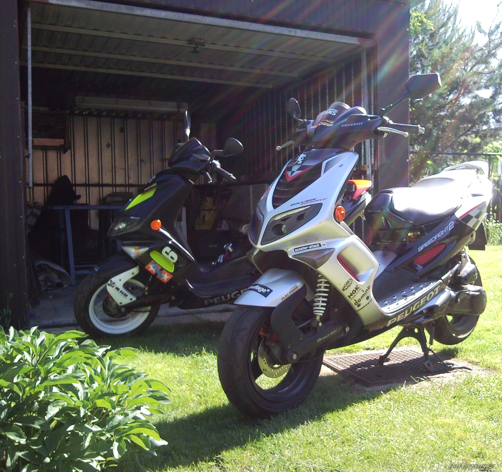 Photo 2218486