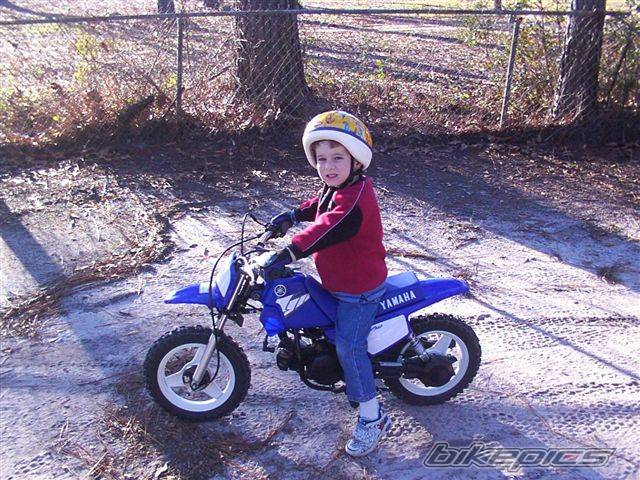 Photo 221849