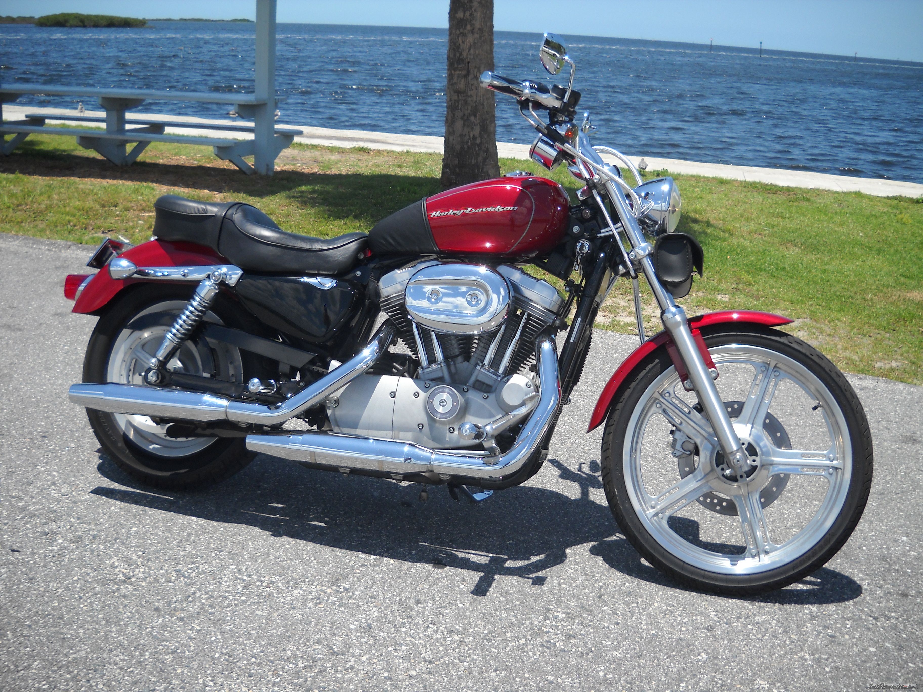 Bike Photo 2218604