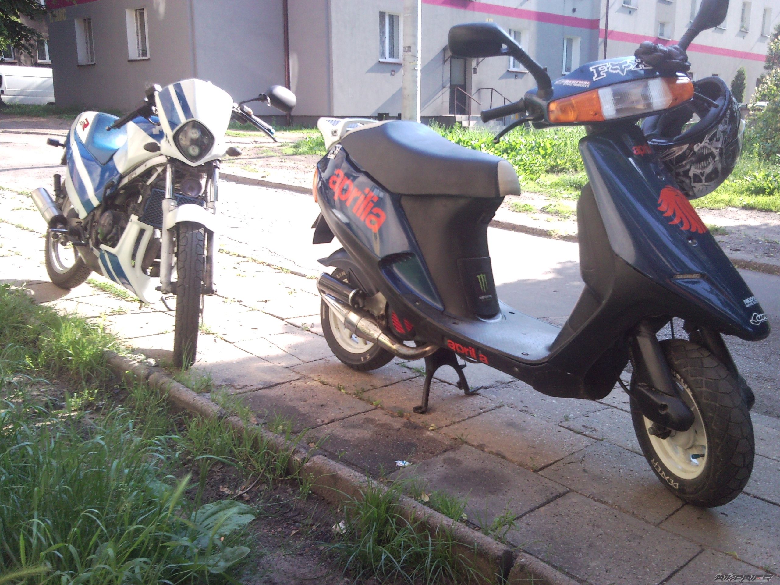Photo 2218676