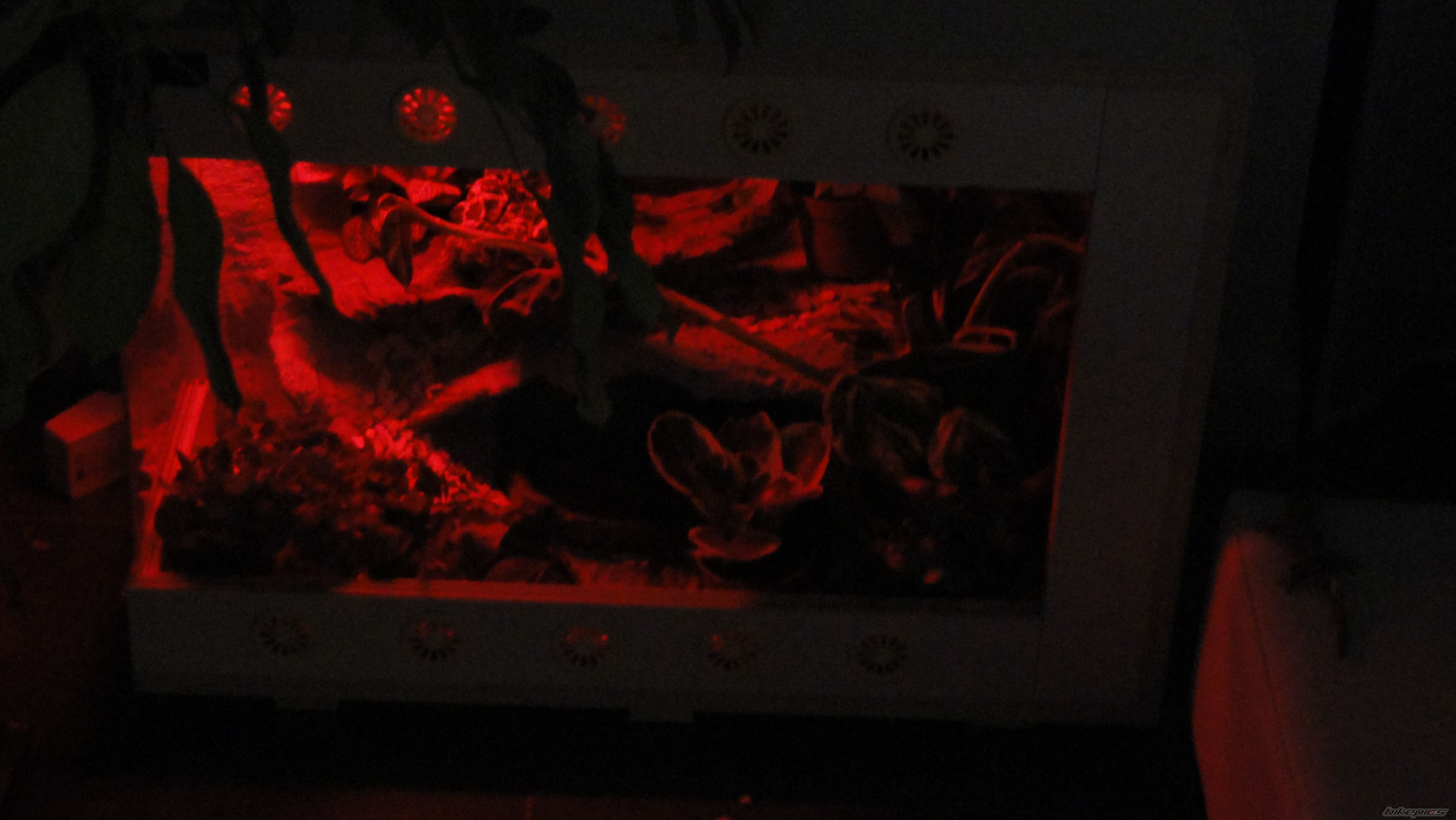 Photo 2218726