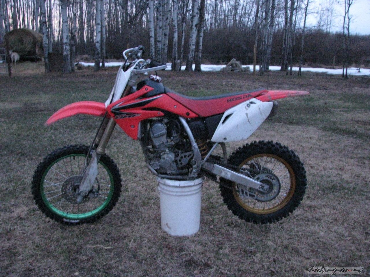 Photo 2218769