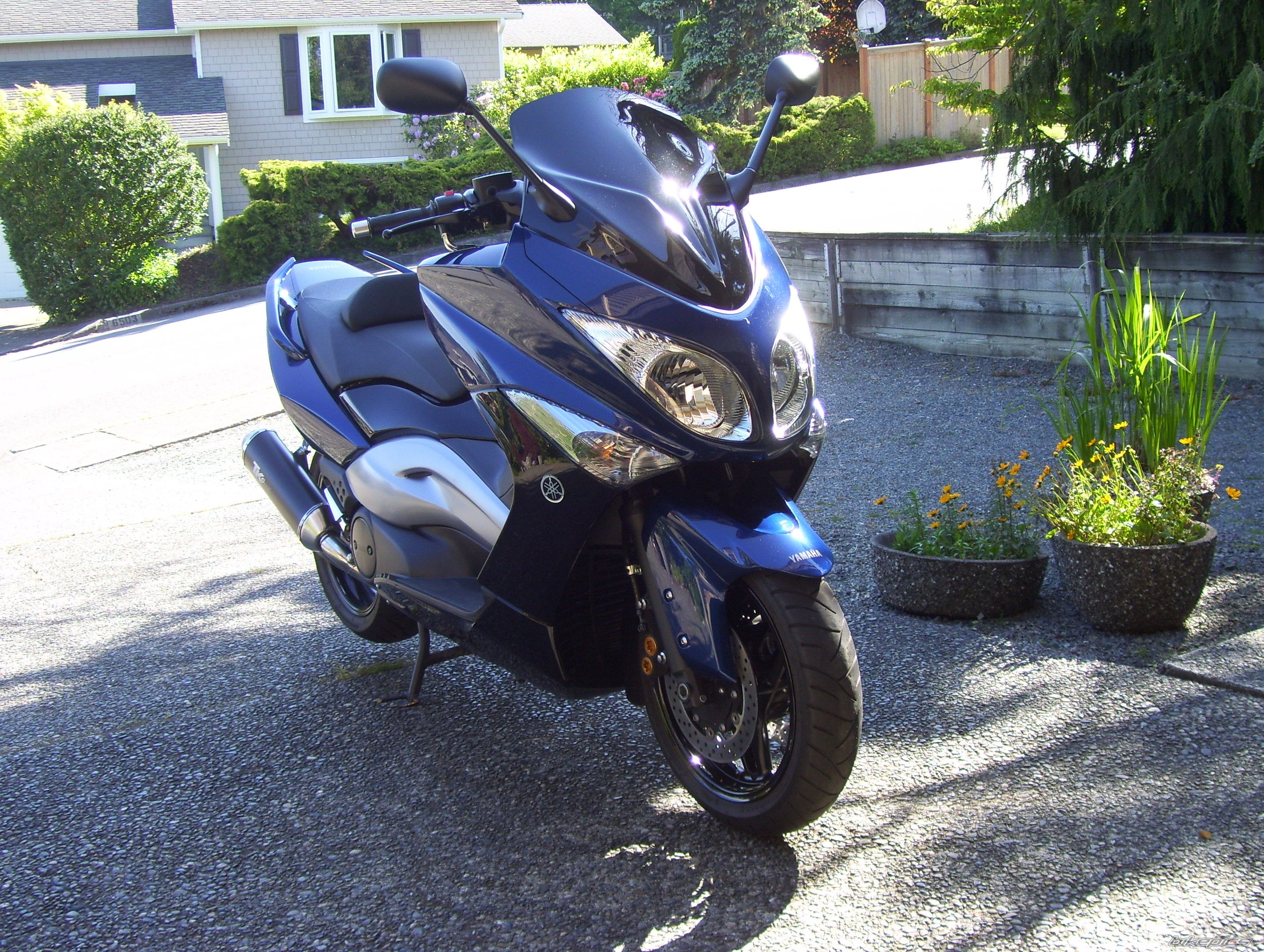 Photo 2218772