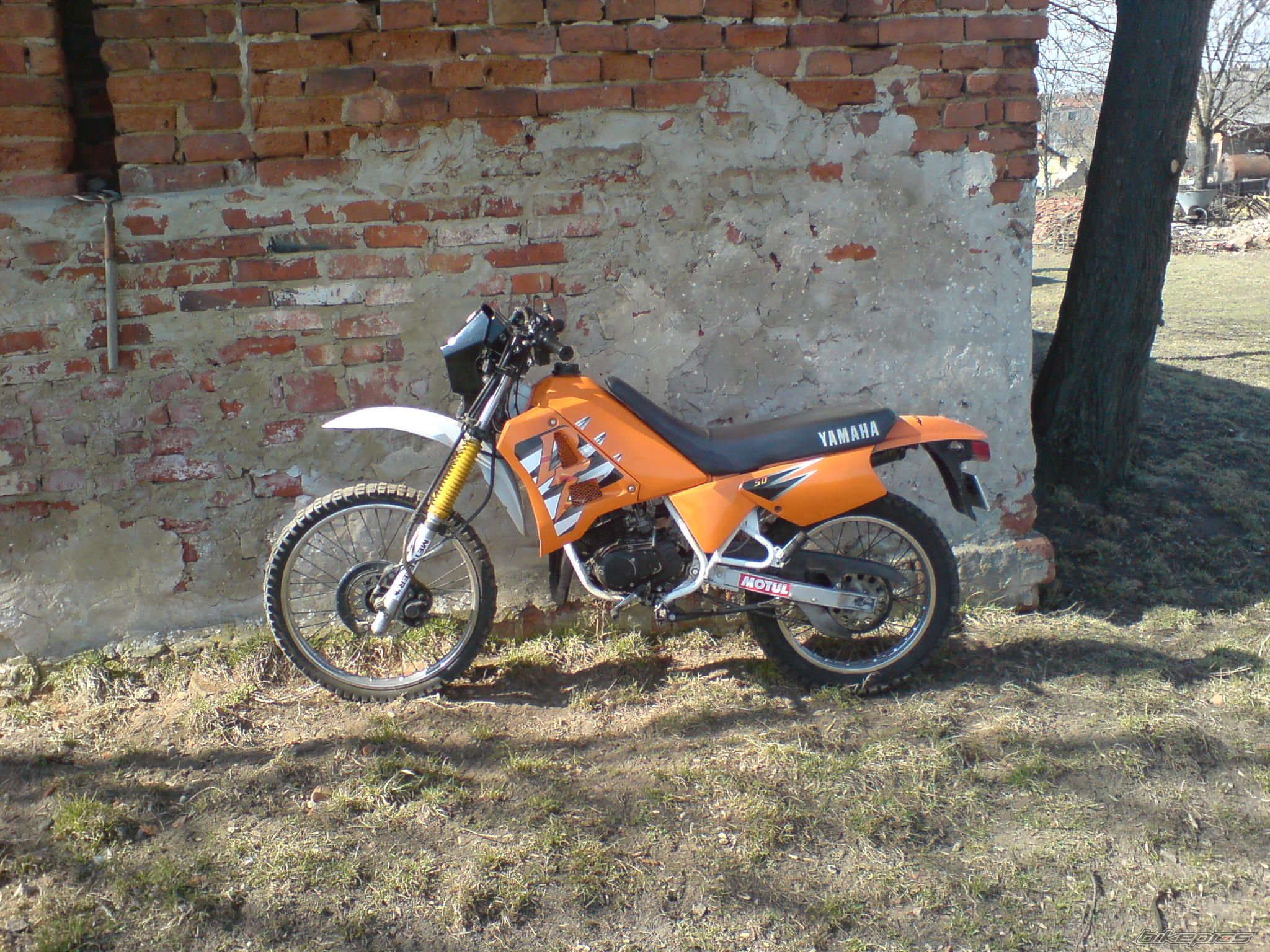 Bike Photo 2218840