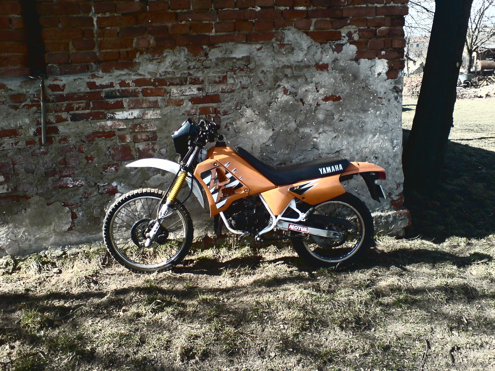 Photo 2218842