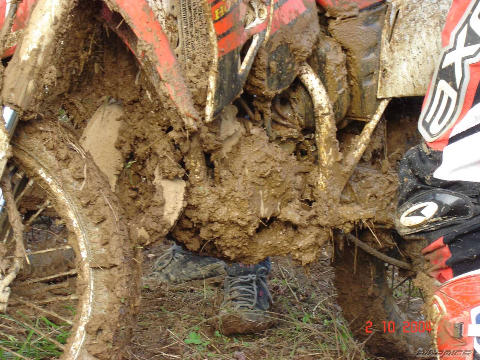 Bike Photo 221887