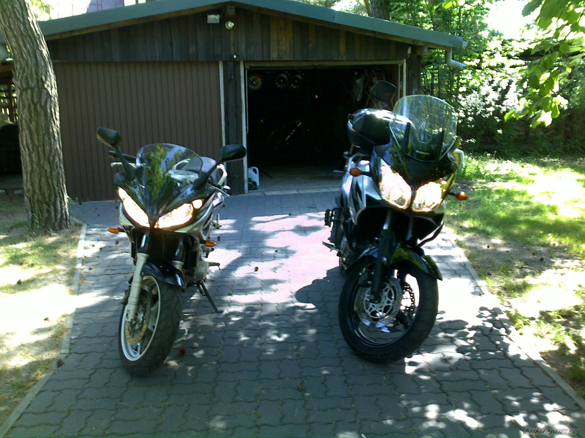 Bike Photo 2219142