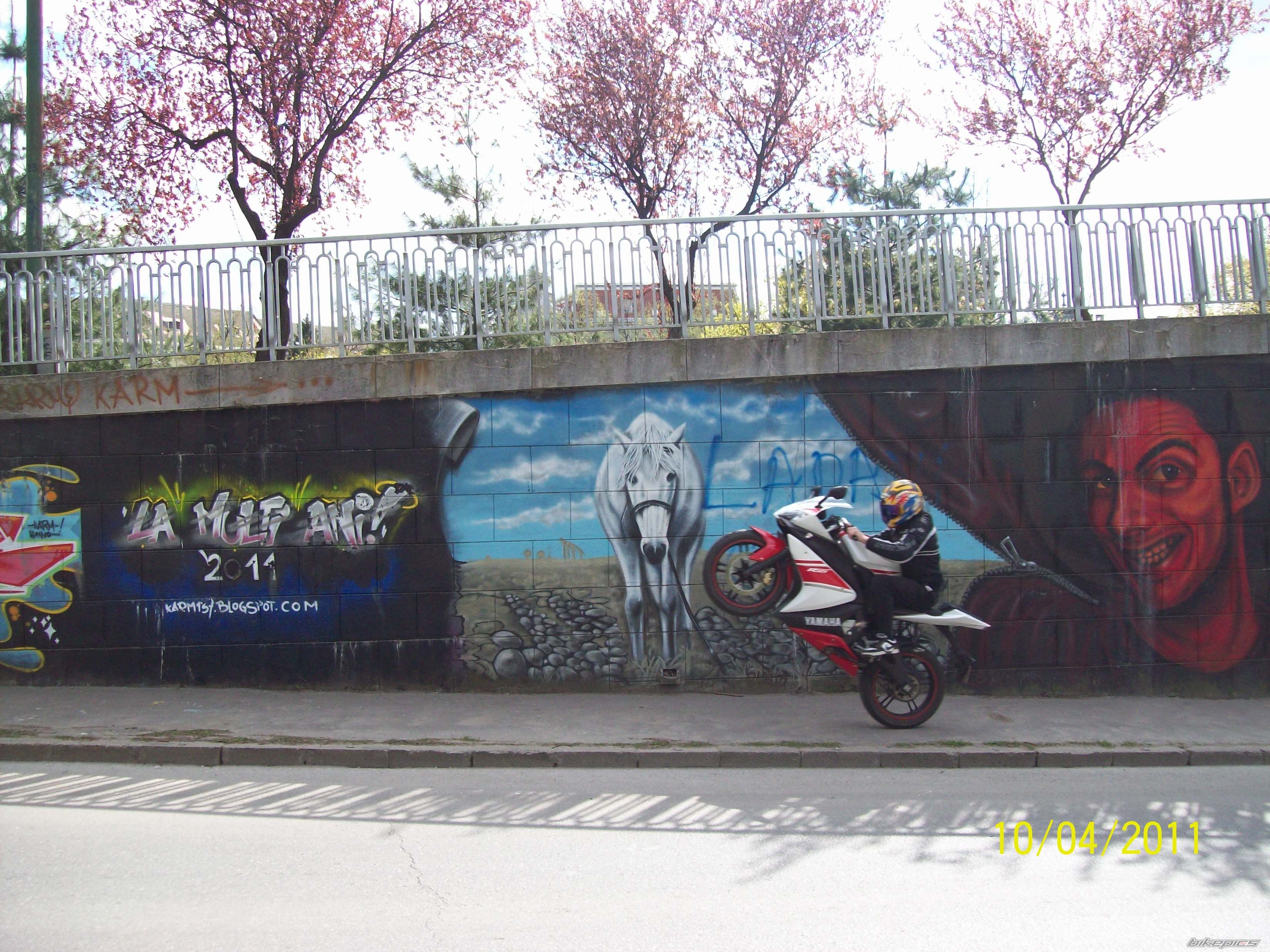 Photo 2219549