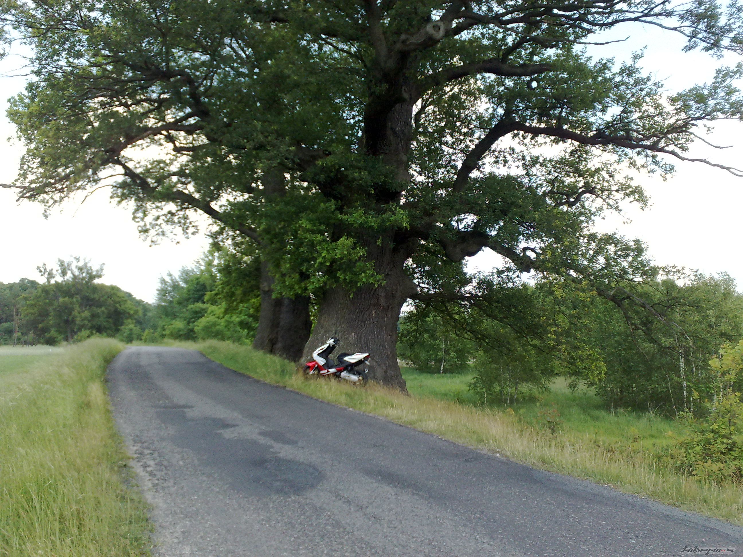 Bike Photo 2219594