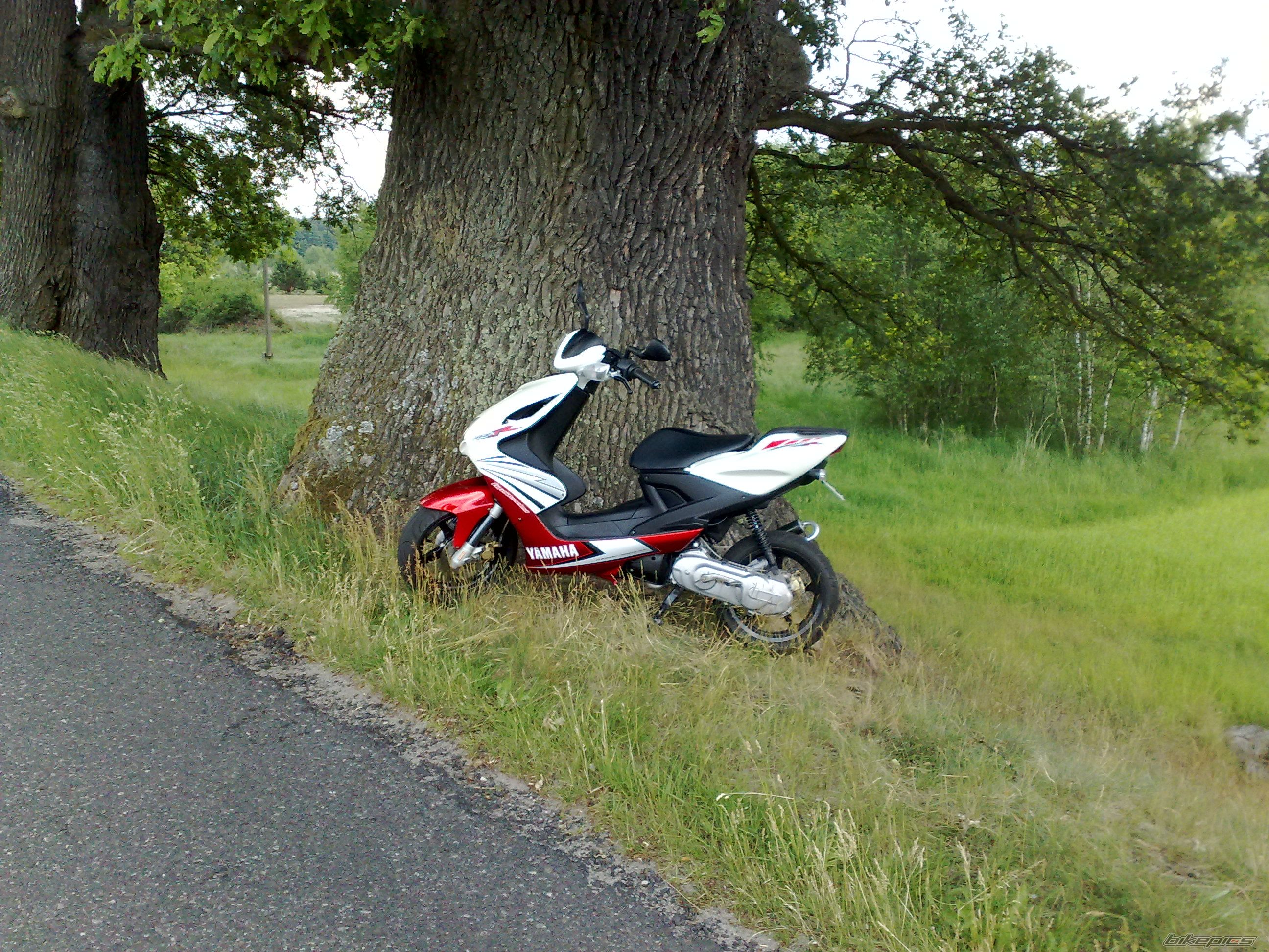 Bike Photo 2219597