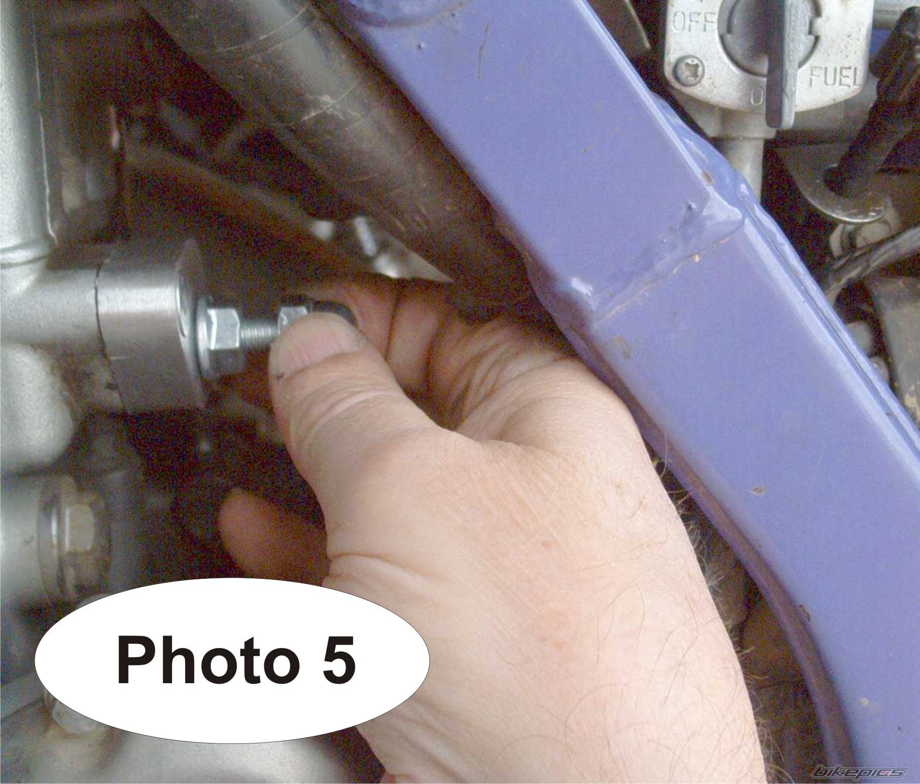 Photo 2219644